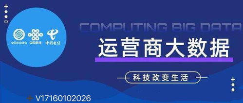 運營商大數據的精準客戶獲取與大數據服務實踐
