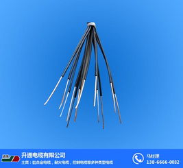 控制電纜選購指南 為何升通電纜與銅陵控制電纜備受關注
