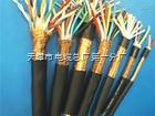 DJVVP3計(jì)算機(jī)控制電纜全國(guó)送貨，天津市電纜總廠第一分廠專(zhuān)業(yè)之選
